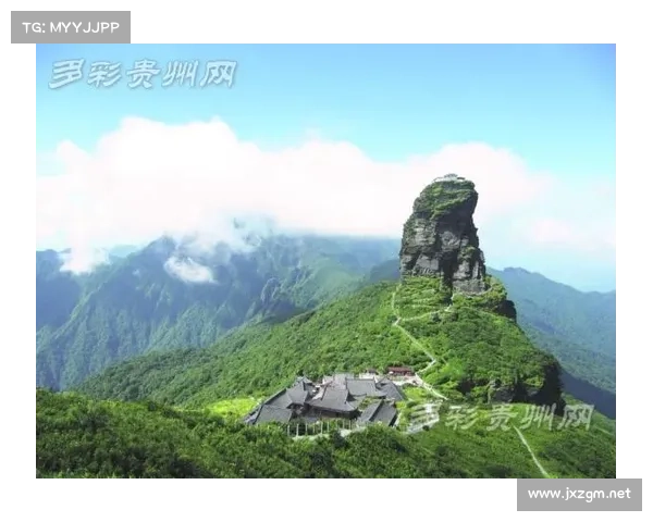 从五大关键因素深度解析澳洲杯胜负走势的全面竞争格局透视全域视角