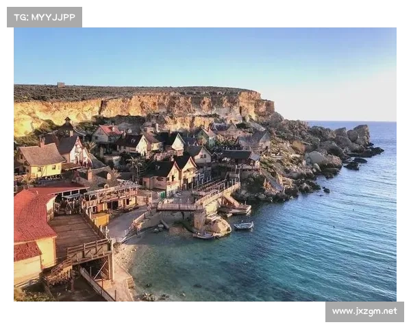 加的夫城足球俱乐部历年参加联赛完整全览与赛场表现深度全面指南